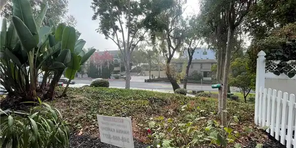 401 Jasmine Avenue
