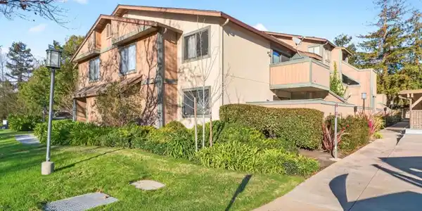 286 Hackamore