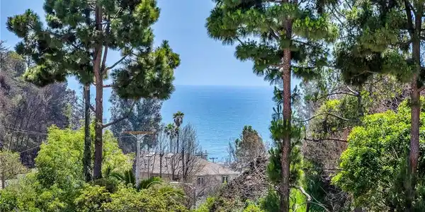 517 Palisades Drive