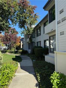 6452 Buena Vista
