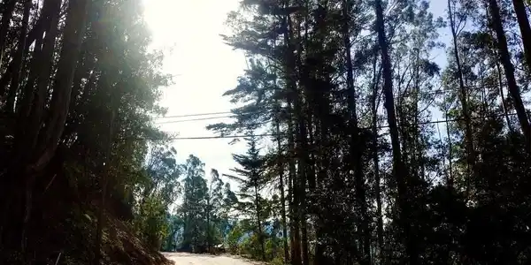 7590 Skyline Blvd
