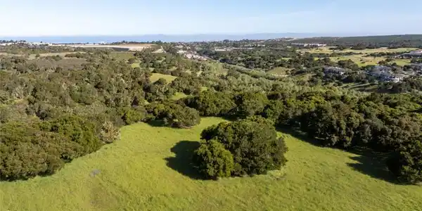 8170 Manjares (Lot 135)