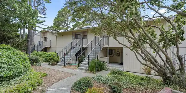 250 Forest Ridge Road