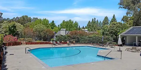1496 Ashwood Dr