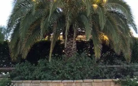 458 Greenleaf Court Court