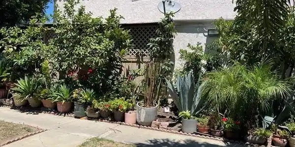 31284 Calle San Juan