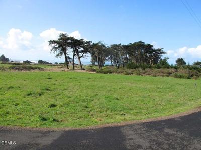 43575 Sea Cypress Drive