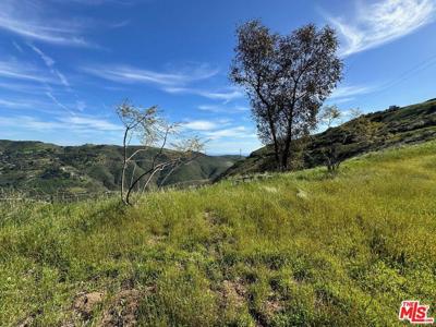 12500 Pacific View Drive