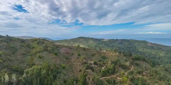 Garrapatos Redwoods Trail