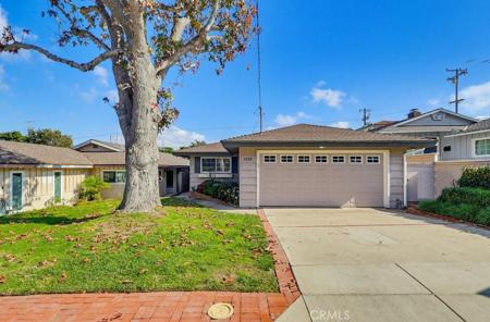 3508 Maple