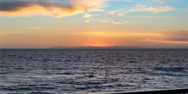 31423 South Coast Highway