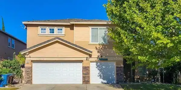 5388 Rockrose