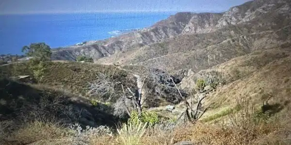 2641 Rambla Pacifico