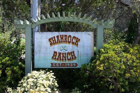 100 Shamrock Ranch Road