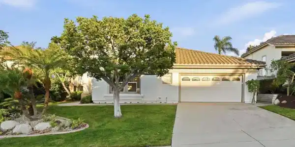 7009 Wildrose