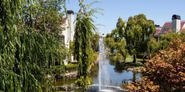 223 Shorebird Circle