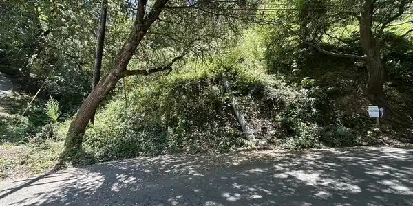 Chelton Drive