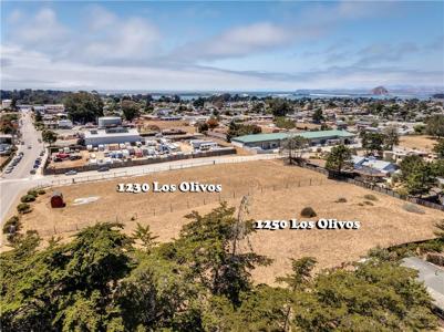 1230 Los Olivos Avenue
