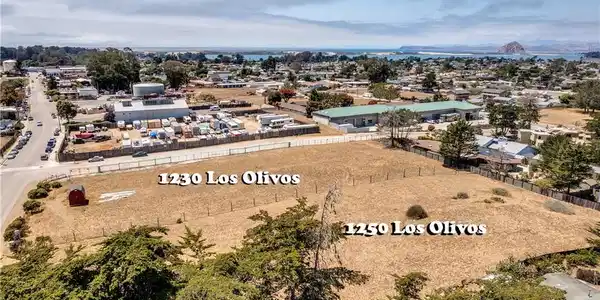 1230 Los Olivos Avenue