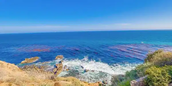 690 W Paseo Del Mar