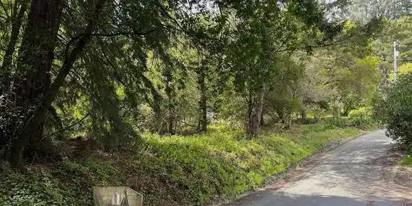 0 Miracle Lane