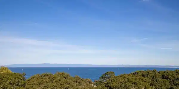 311 Lighthouse