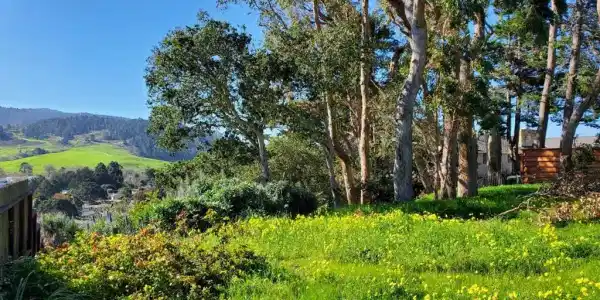 3528 Lazarro Drive