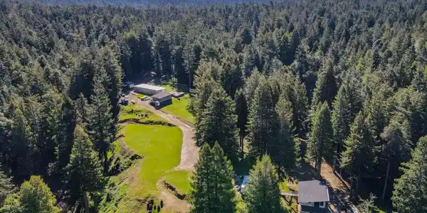 15137 Mitchell Creek Drive