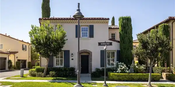 51 Bower Tree