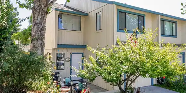 179 Terry Loop