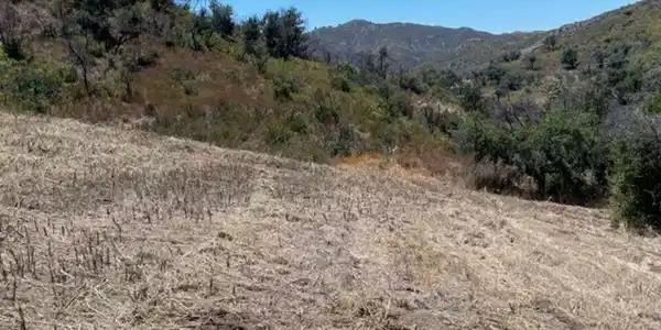 0 Newton Canyon Road