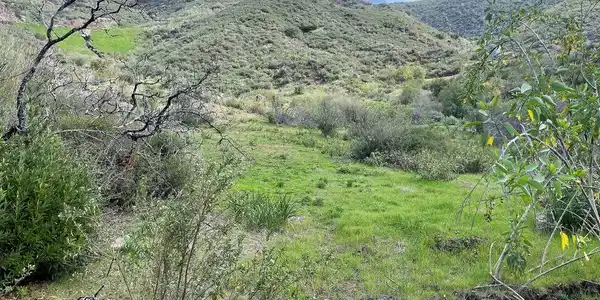 34040 Mulholland Highway
