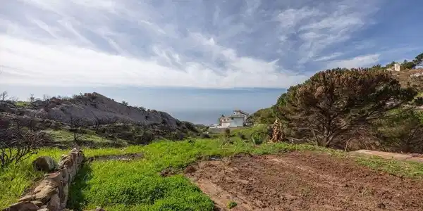 24524 Piuma Road