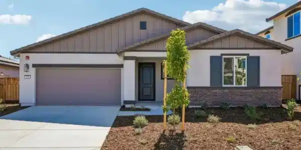 508 Spruce Waly