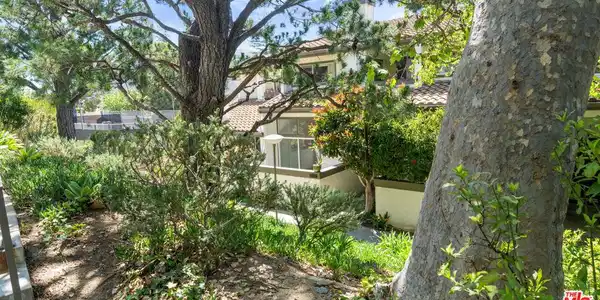 1666 Palisades Drive