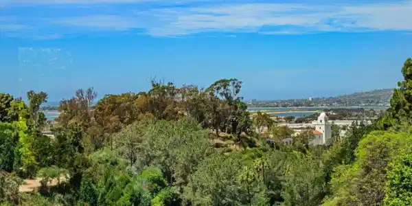 2417 Arista Ct