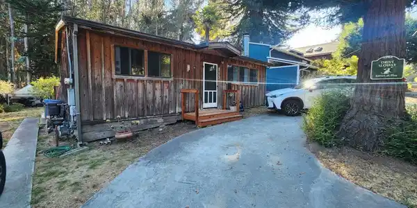 845 Pine Tree Lane