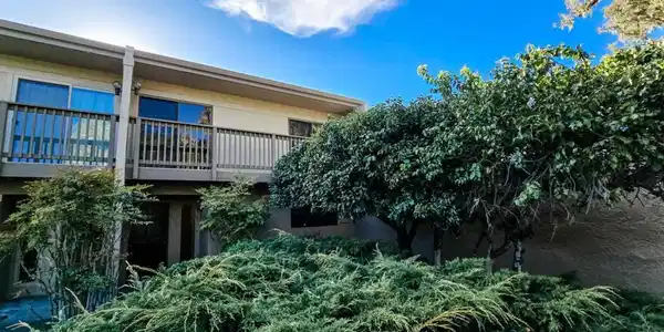 65 Montsalas Drive