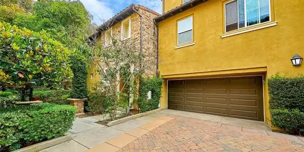 31 Gingerwood