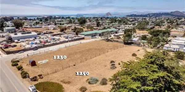 1250 Los Olivos