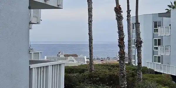650 The