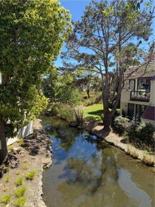 546 Shorebird Circle