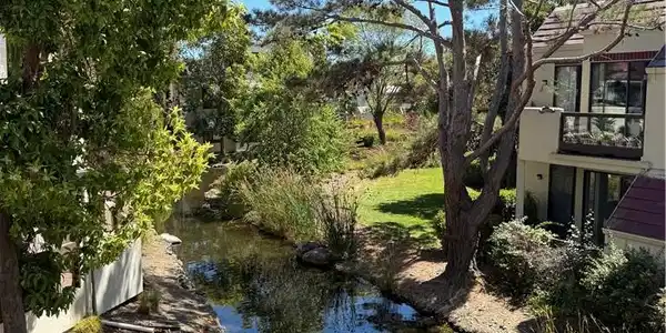 546 Shorebird Circle