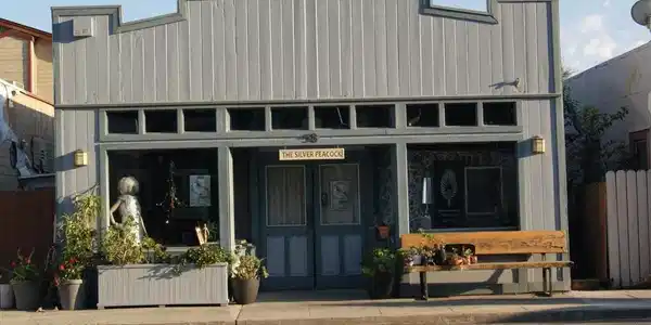 58 Main St.