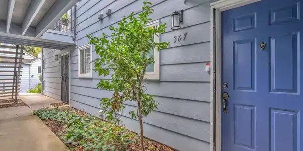 367 Lighthouse Dr