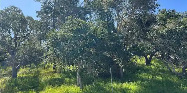 2480 Ross Road