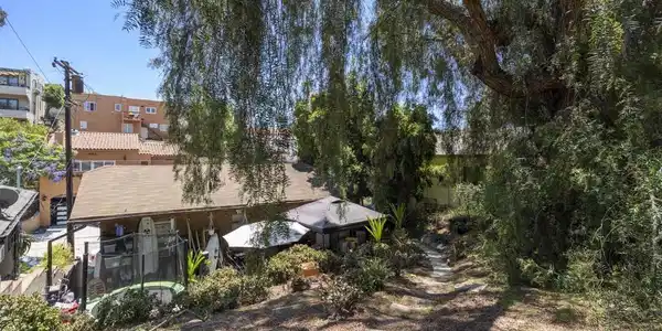 Image 4