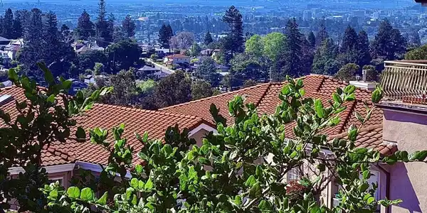 4320 Terrabella Way