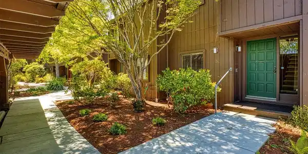 138 Tree Frog Lane