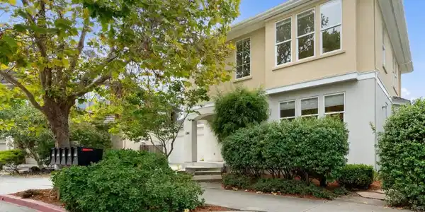 184 Cypress